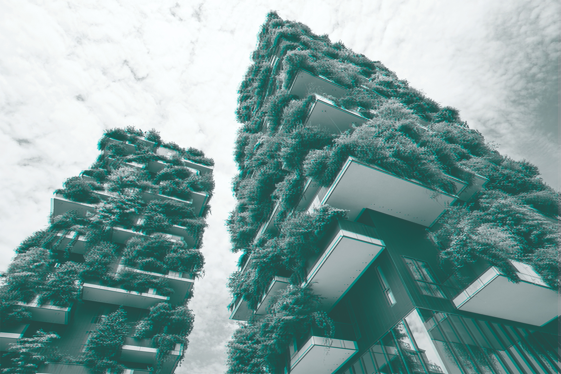 Skyscraper named Vertical Forest in Milan